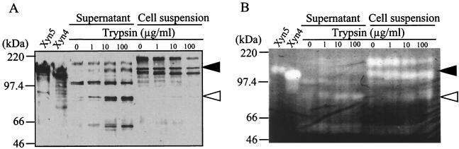 FIG. 7.