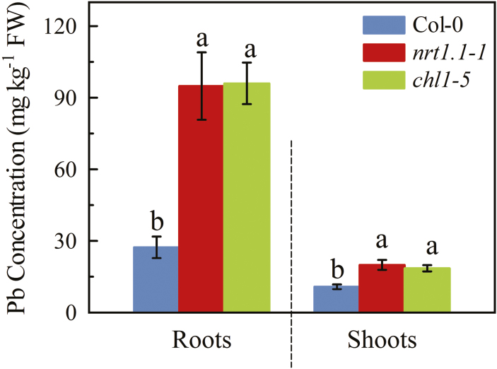 Fig. 5.