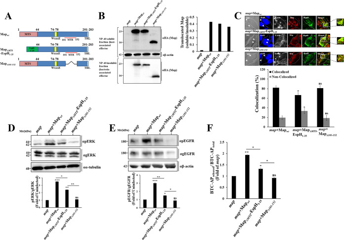 FIG 6