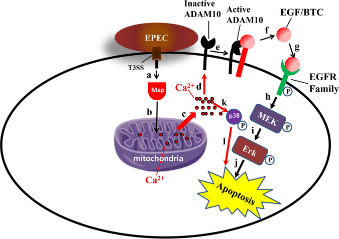 FIG 10