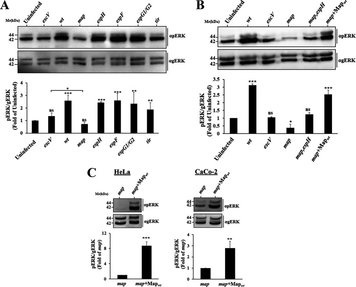 FIG 2