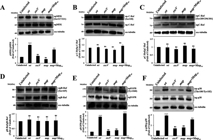 FIG 3