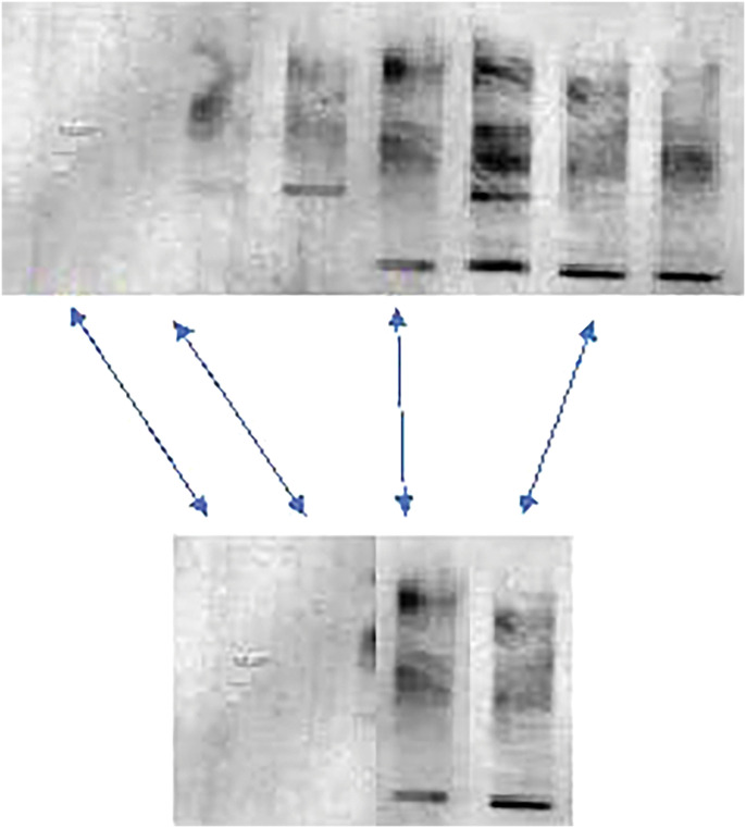 Fig. 7C