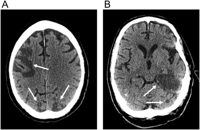 Fig. 8