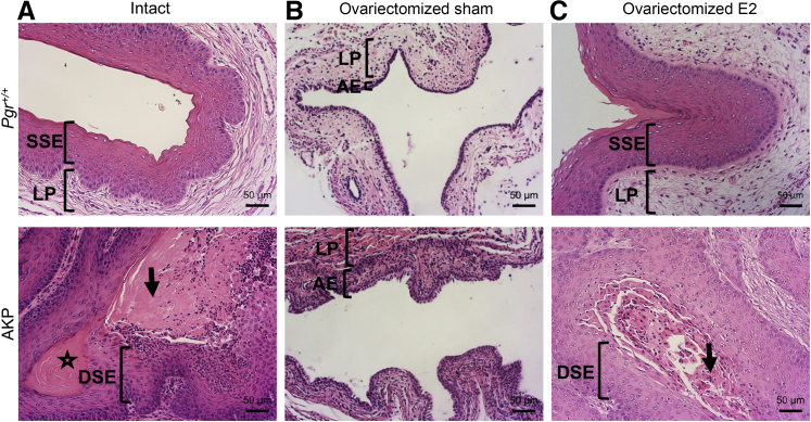 Figure 6