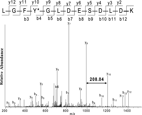 FIGURE 4.