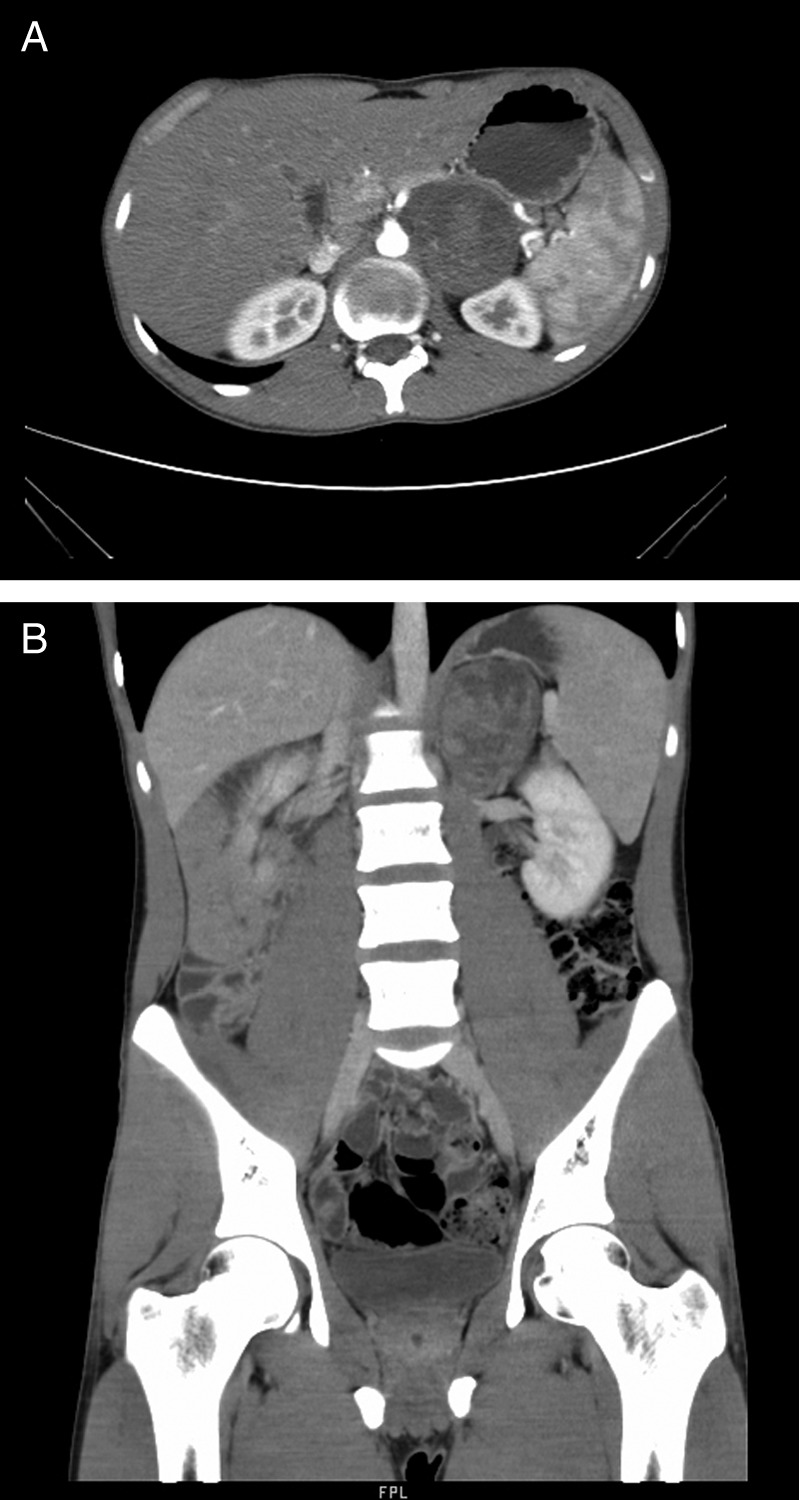 Figure 1