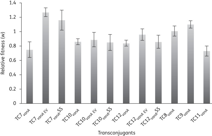 Figure 3.