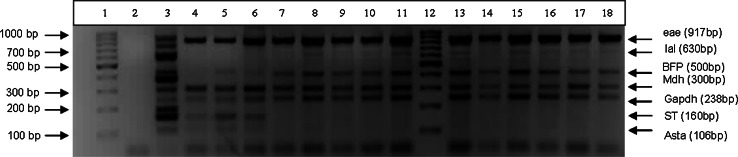 Fig. 2