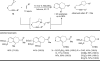 Scheme 10