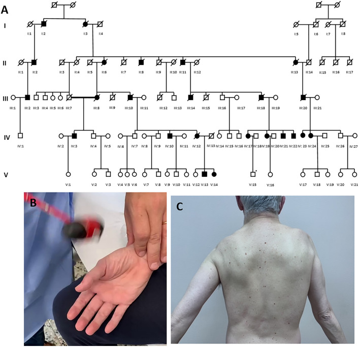 Fig. 1