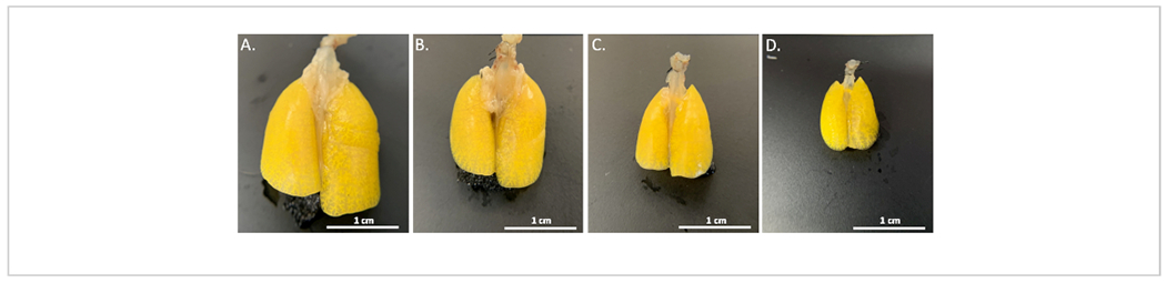 Figure 4: