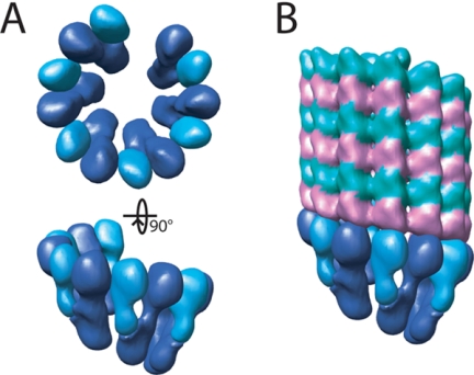 Figure 9.