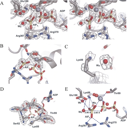 FIGURE 1.