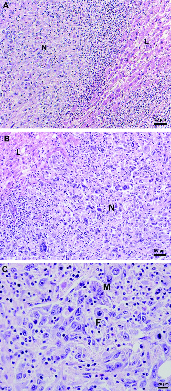 Figure 3.