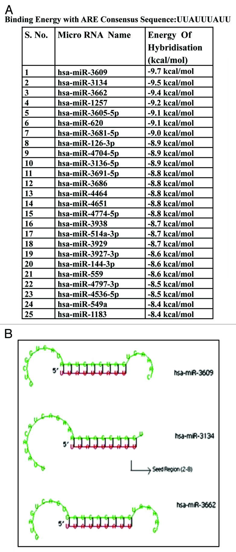 graphic file with name rna-10-1283-g1.jpg