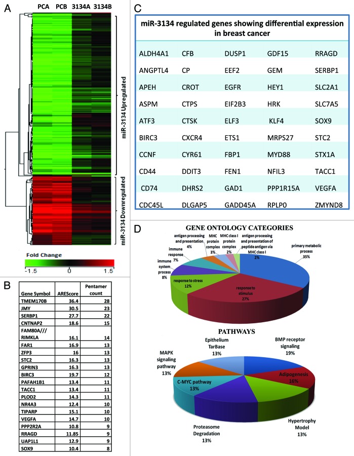 graphic file with name rna-10-1283-g2.jpg