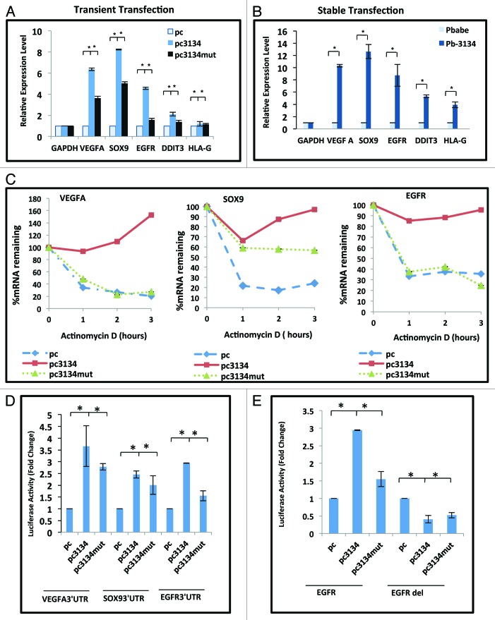 graphic file with name rna-10-1283-g3.jpg