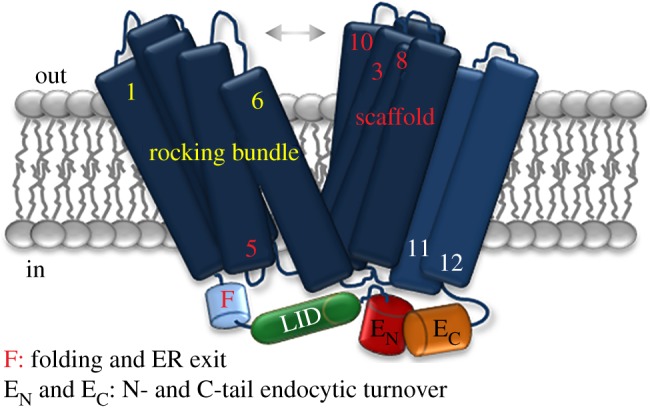 Figure 4.