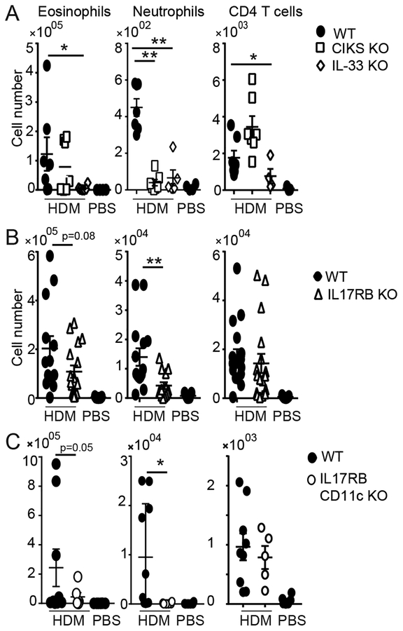 FIG 1.