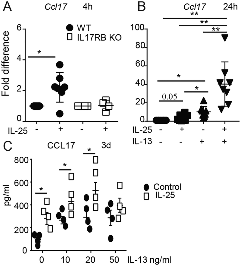 FIG 8.