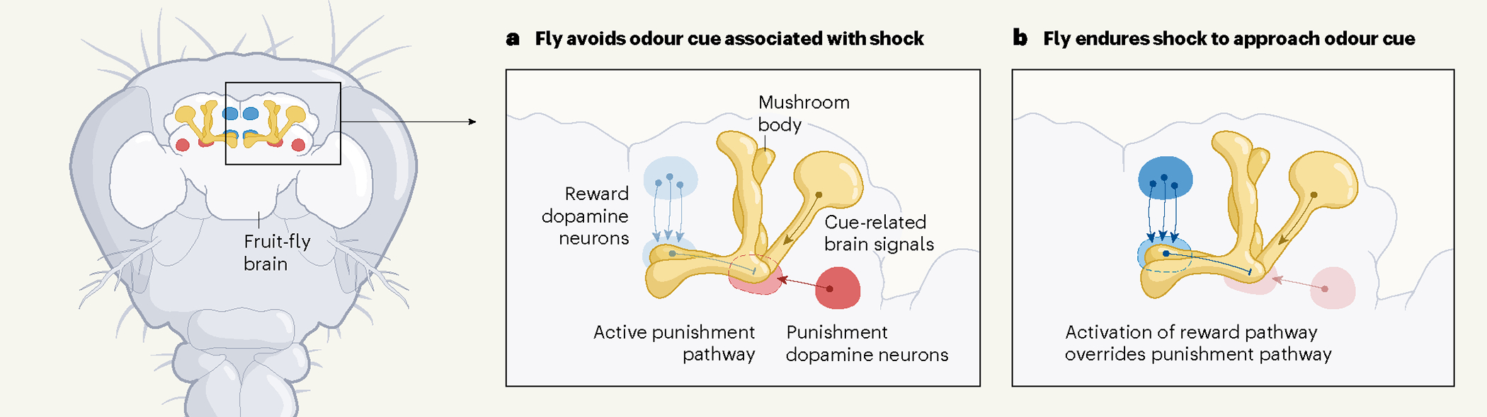 Figure 1 |