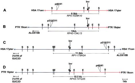 Figure  4