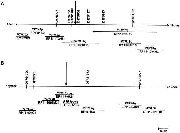 Figure  3