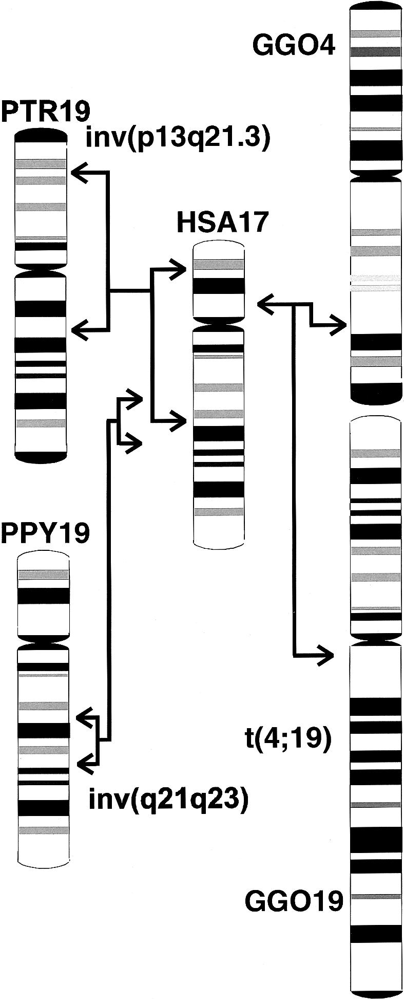 Figure  1