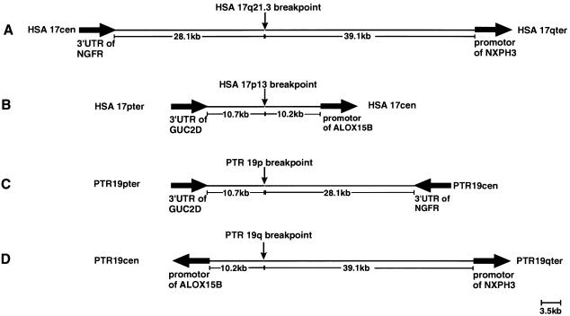 Figure  6