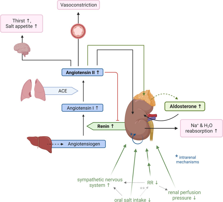 Fig. 2