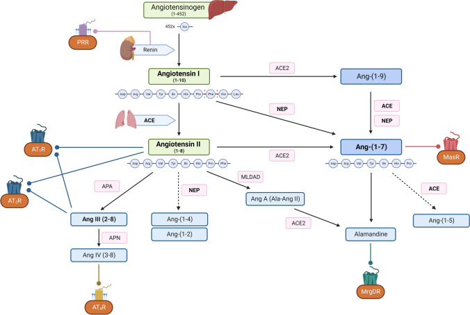 Fig. 1