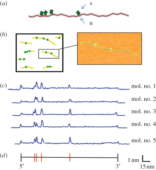 Figure 1.