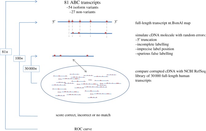 Figure 4.