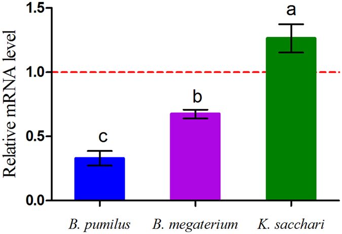 Figure 7