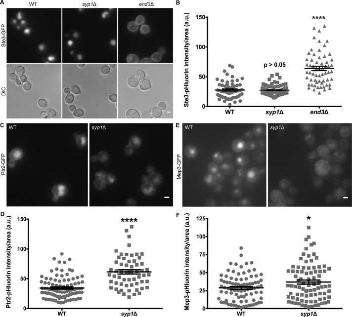 FIGURE 3: