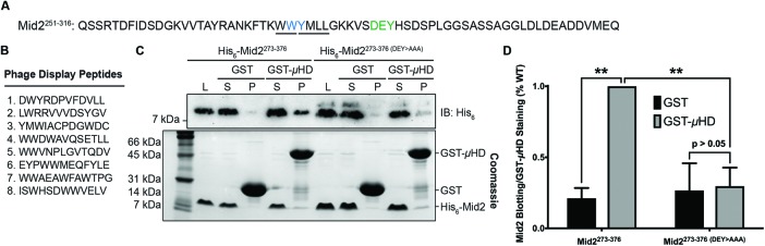 FIGURE 1: