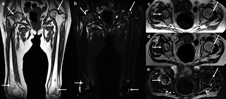 Fig. 27