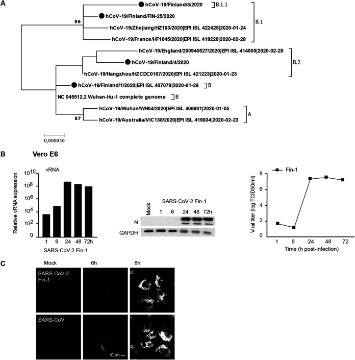 FIG 1