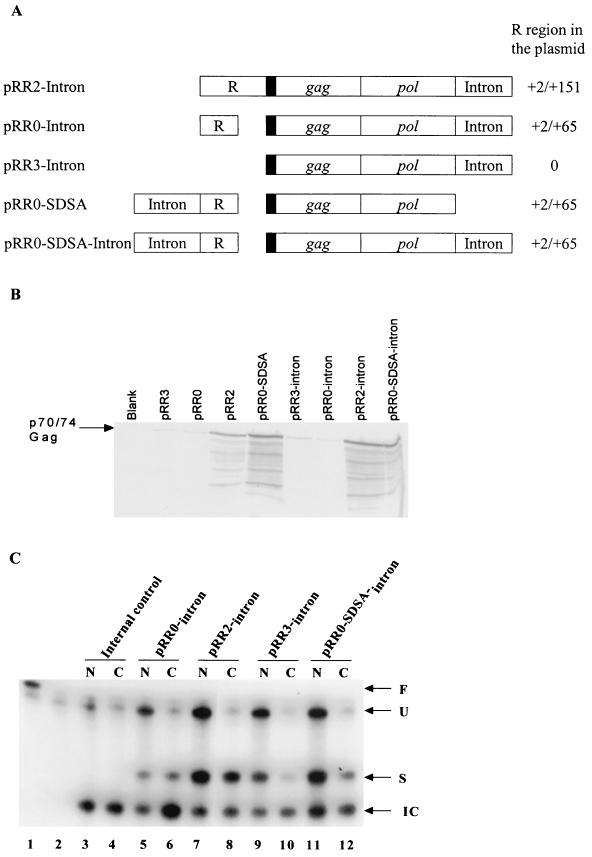 FIG. 3