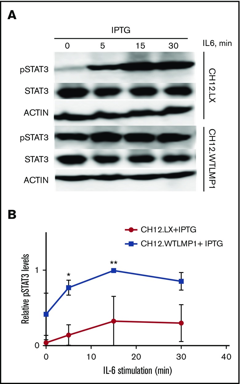 Figure 6.