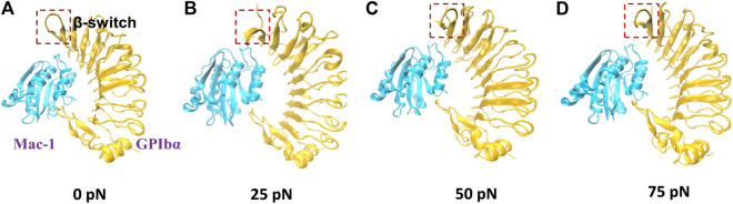 FIGURE 3