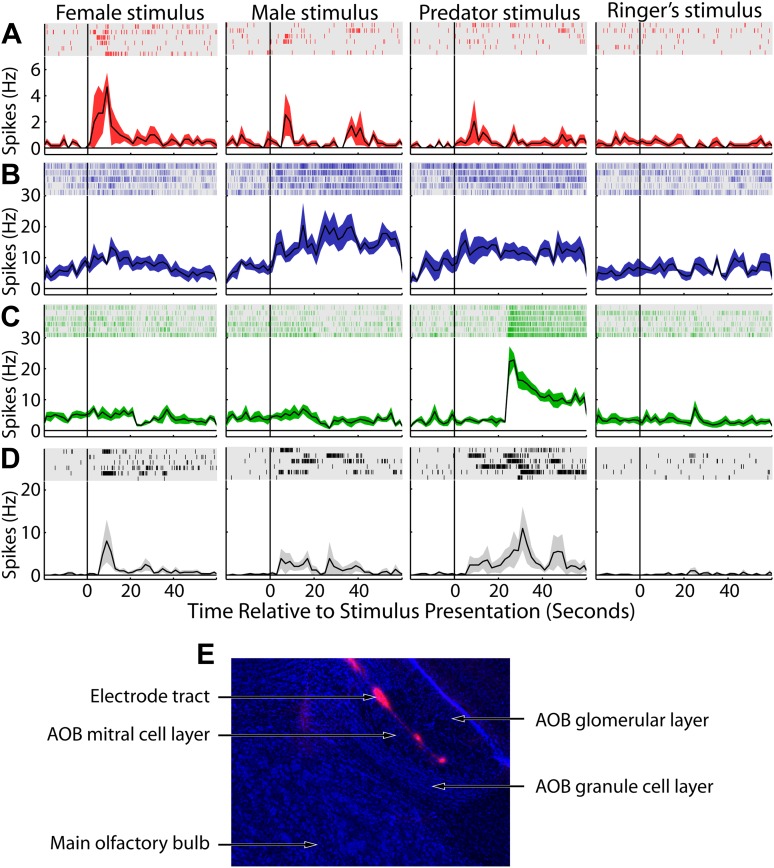 Figure 2—figure supplement 2.