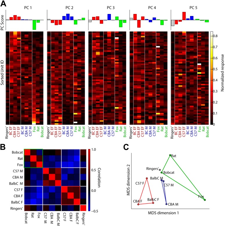 Figure 3—figure supplement 2.