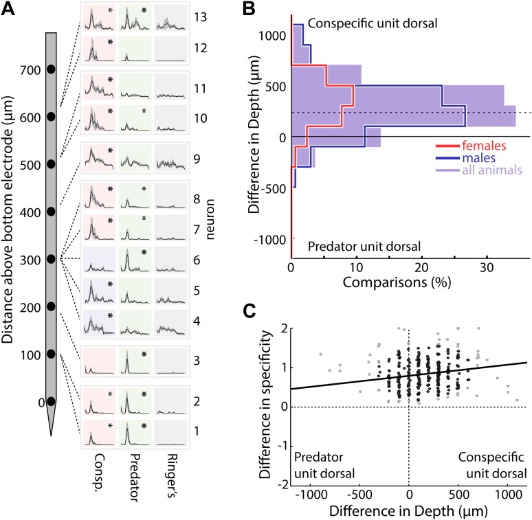 Figure 2—figure supplement 1.