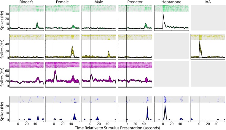 Figure 1—figure supplement 3.