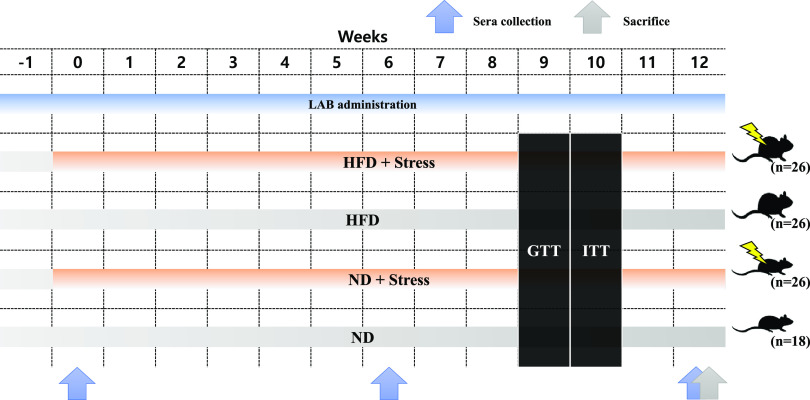 FIG 1