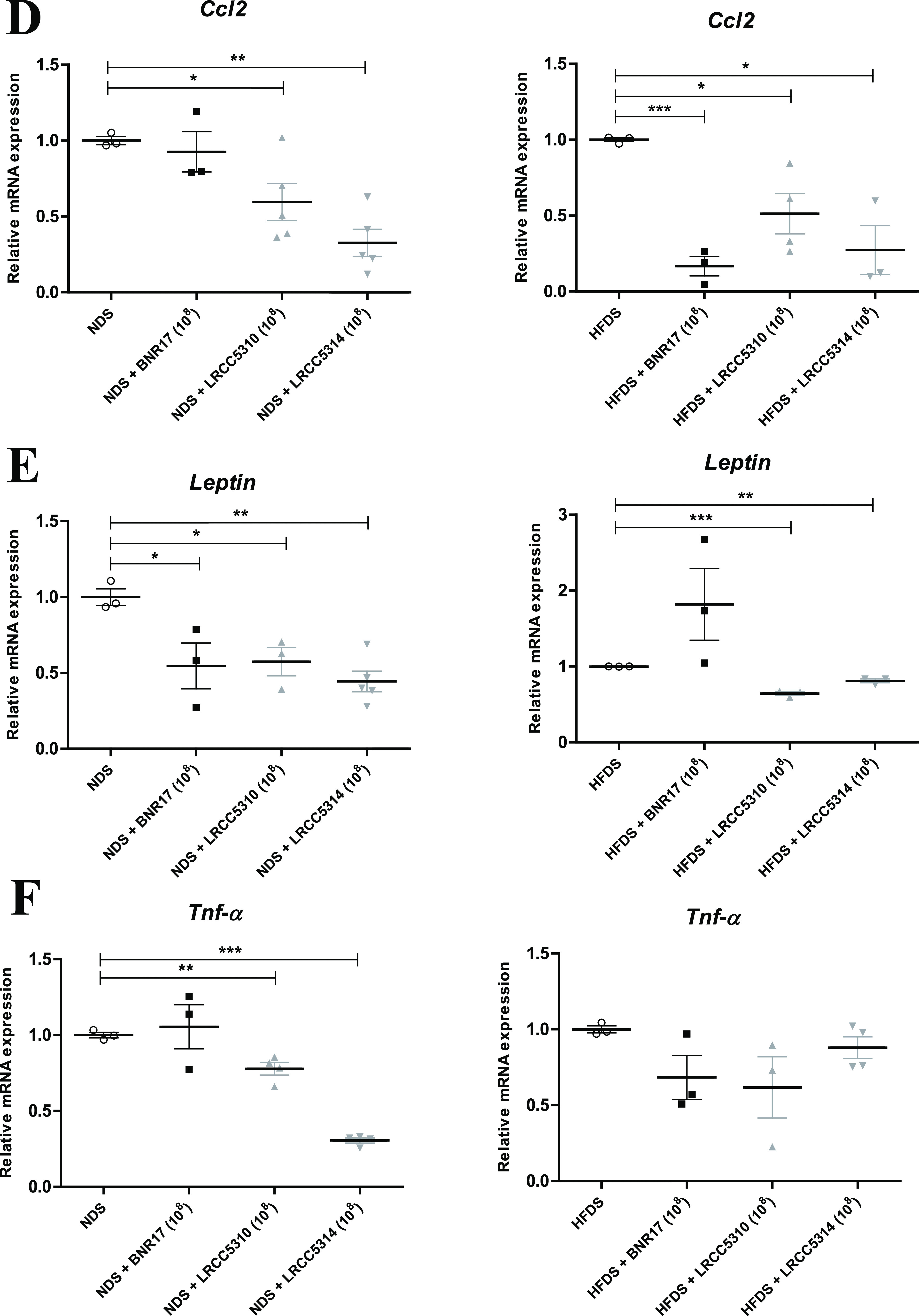 FIG 6