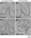 FIG. 8.
