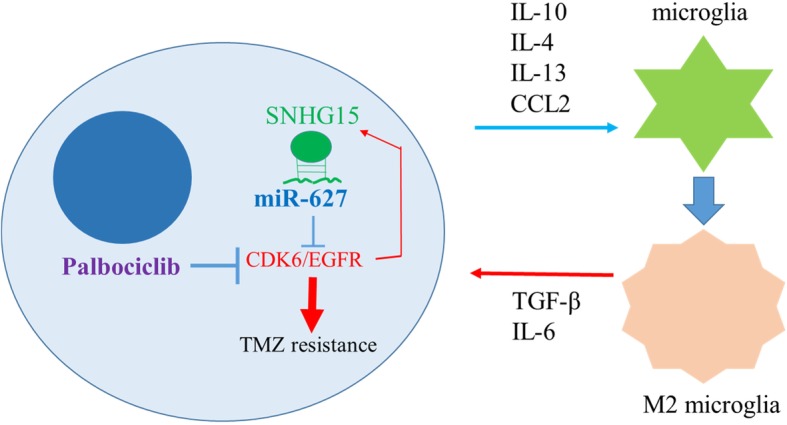 Fig. 8